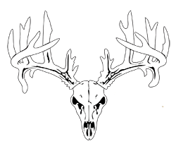  Tombstone Trapping & Deer Feeders 